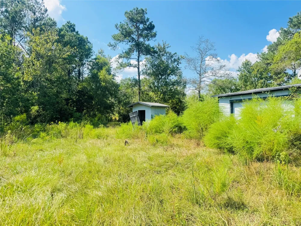 2736 Whitetail Forest Road Kountze, TX 77625