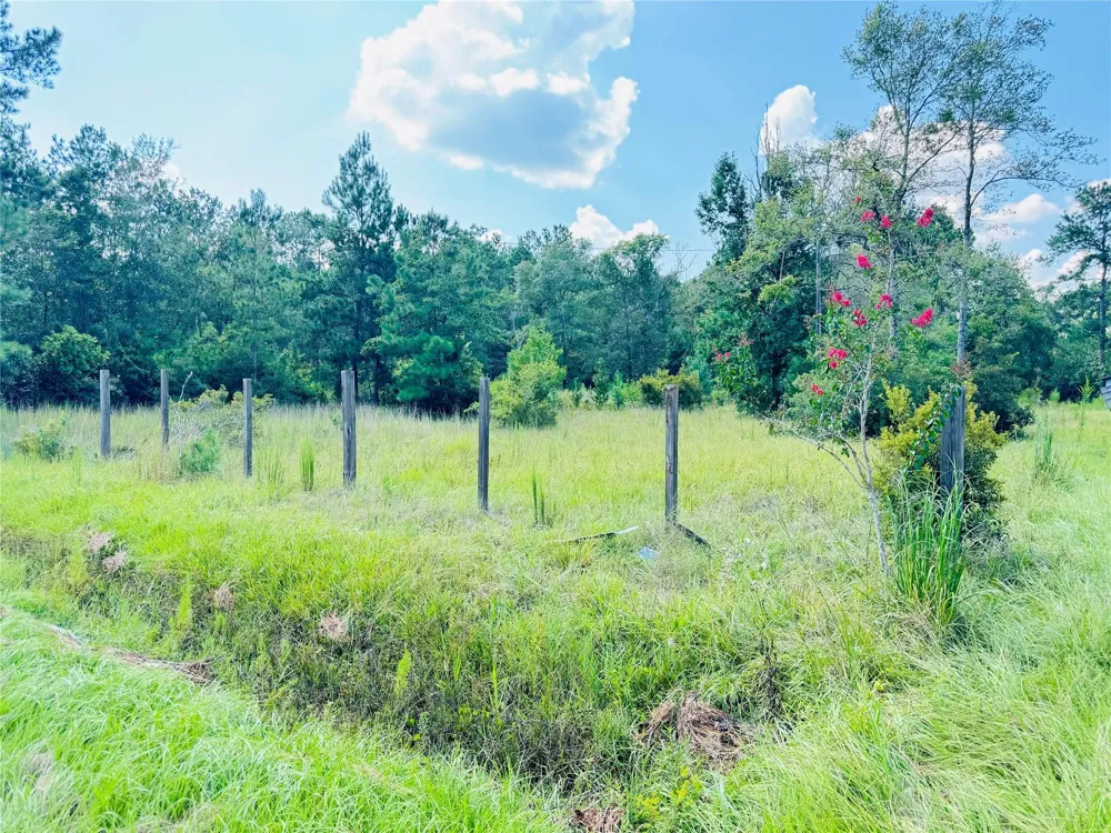 2736 Whitetail Forest Road Kountze, TX 77625