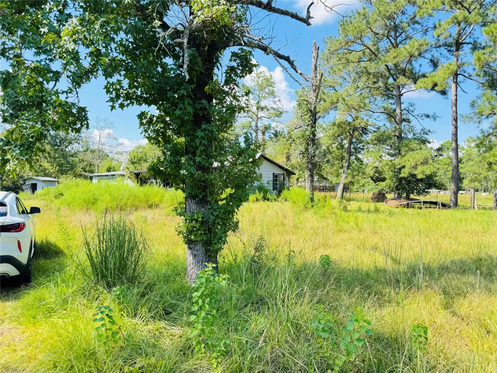 2736 Whitetail Forest Road Kountze, TX 77625