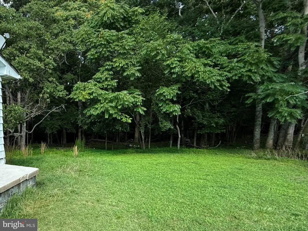 12516 OLIVET ROAD Lusby, MD 20657