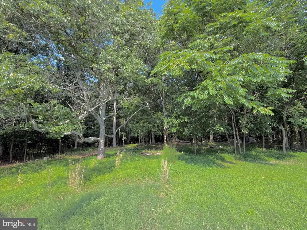 12516 OLIVET ROAD Lusby, MD 20657