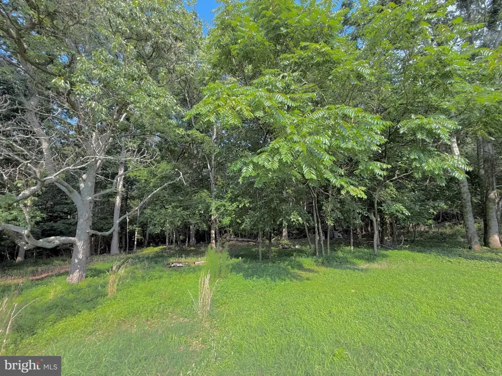 12516 OLIVET ROAD Lusby, MD 20657