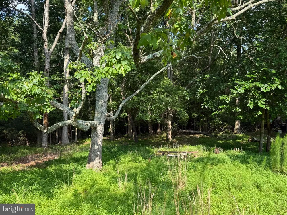 12516 OLIVET ROAD Lusby, MD 20657