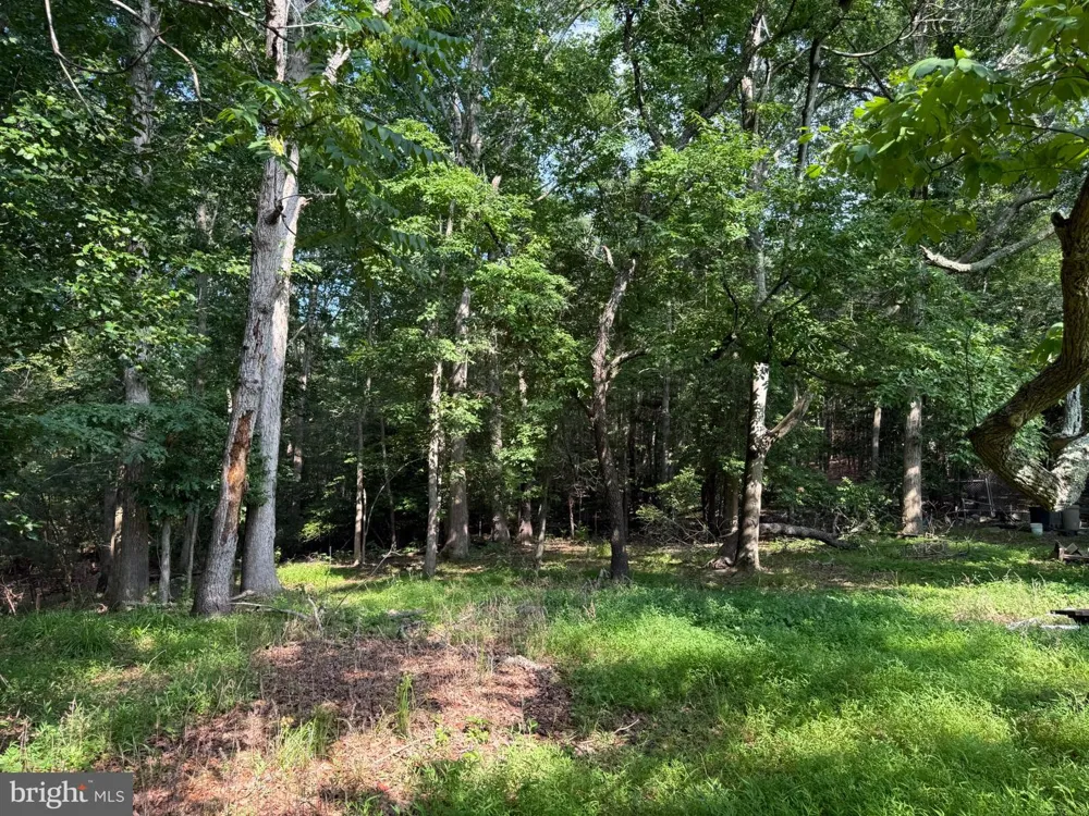 12516 OLIVET ROAD Lusby, MD 20657