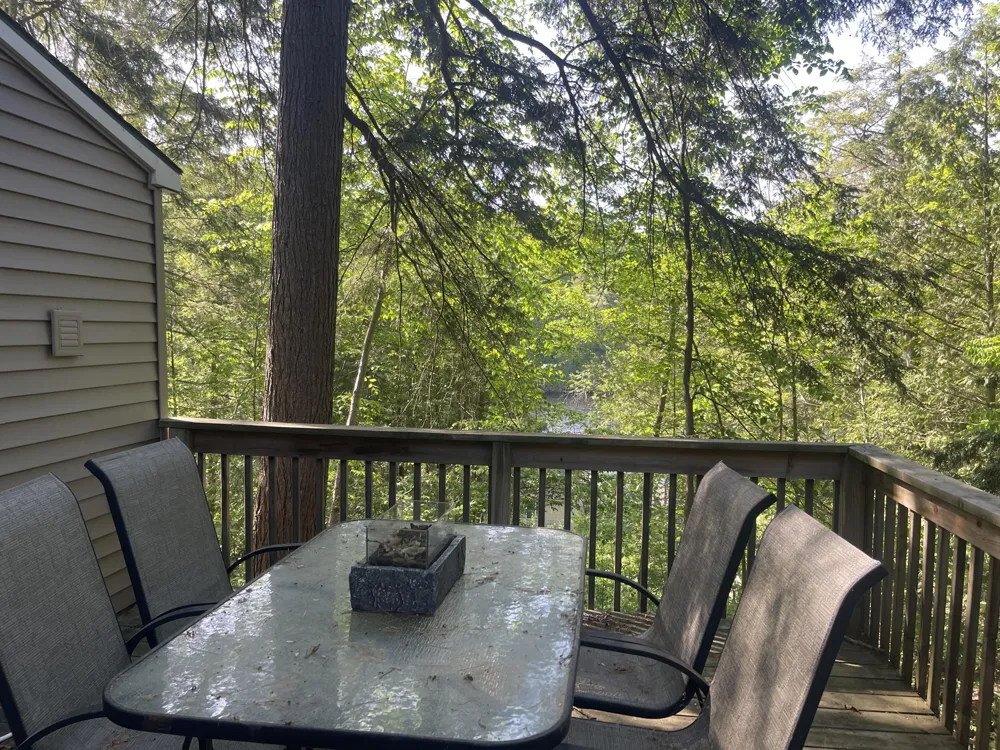 4629 S Croton Hardy Drive Big Prairie Township, MI 49337