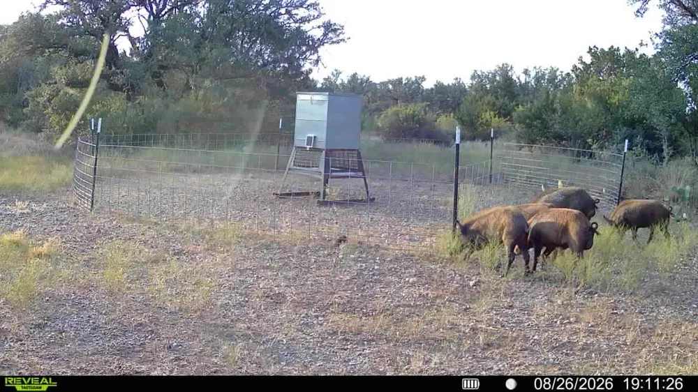 CR 296 Richland Springs, TX 76871