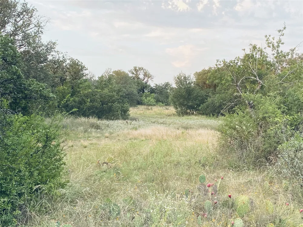 CR 296 Richland Springs, TX 76871