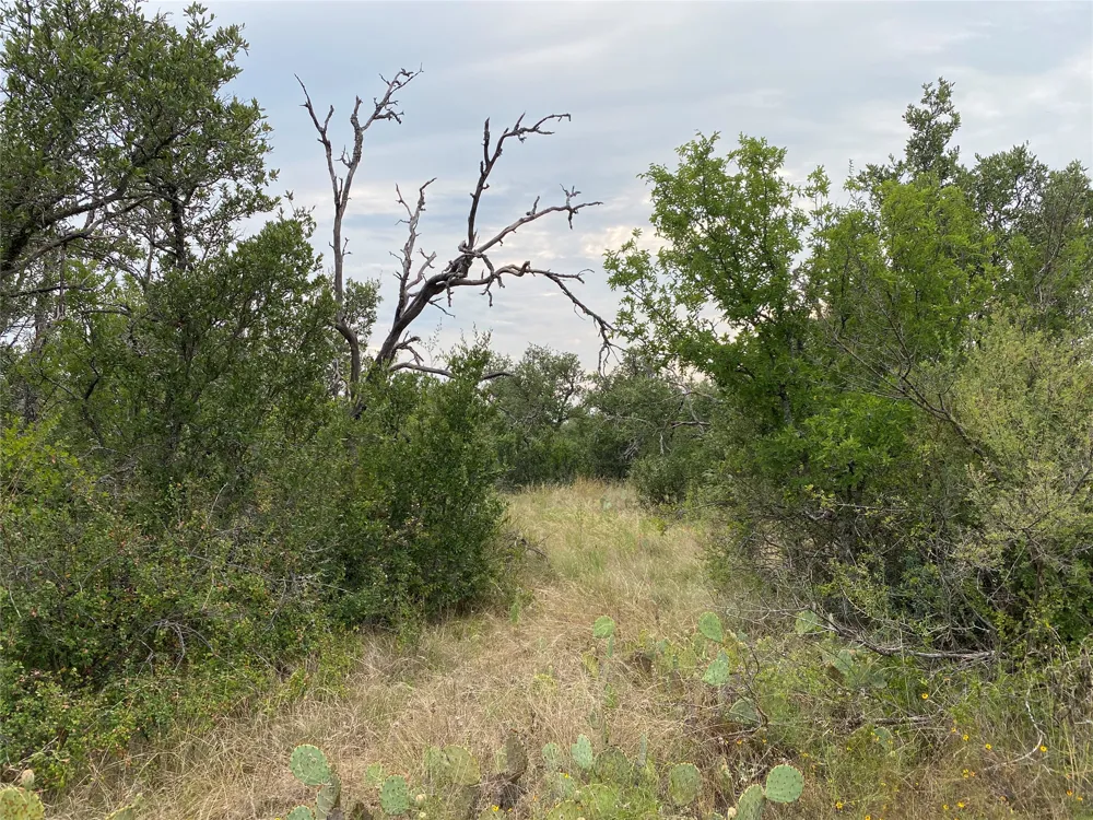 CR 296 Richland Springs, TX 76871