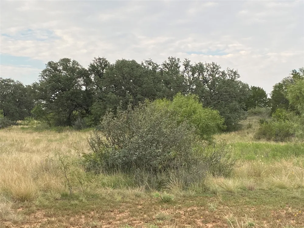CR 296 Richland Springs, TX 76871