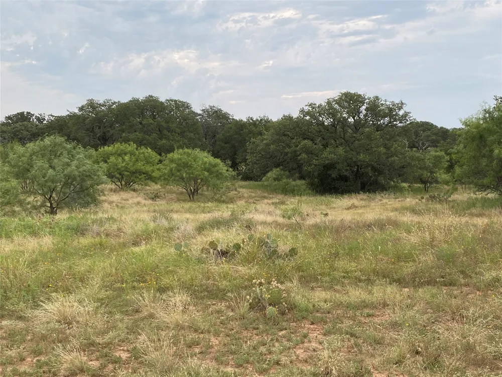 CR 296 Richland Springs, TX 76871
