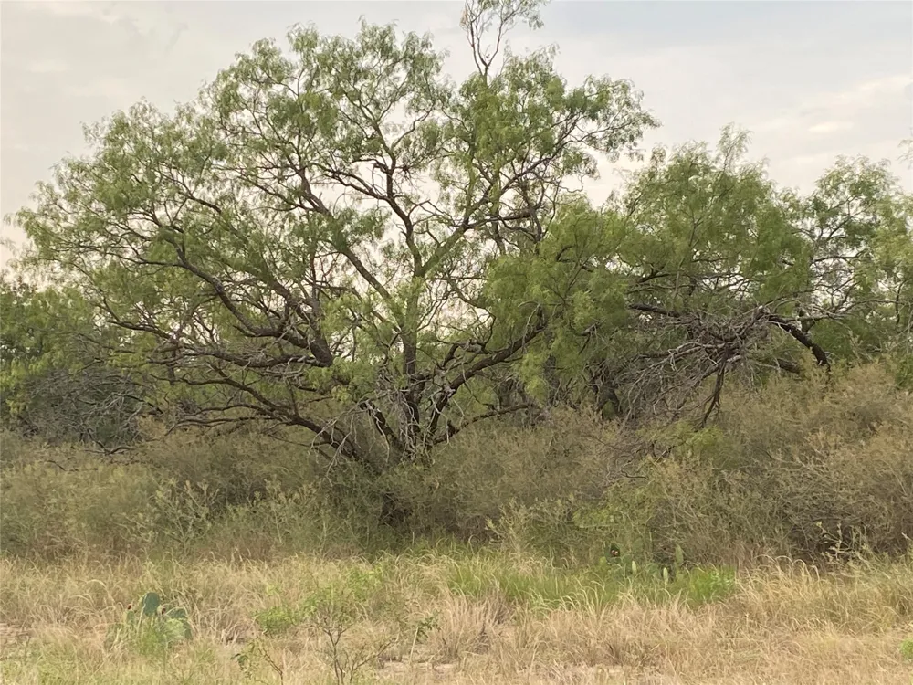 CR 296 Richland Springs, TX 76871