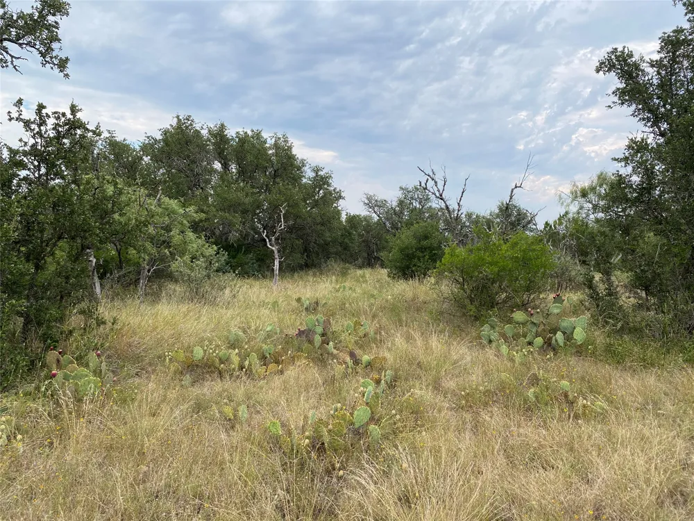 CR 296 Richland Springs, TX 76871