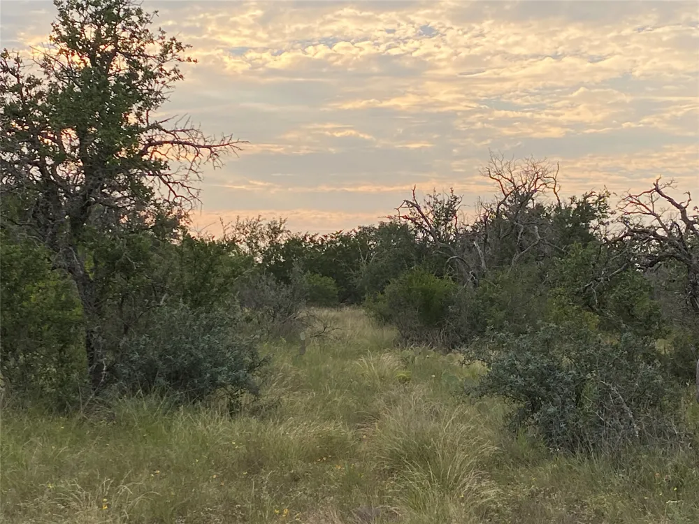 CR 296 Richland Springs, TX 76871
