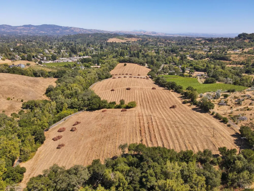 Partrick Road Napa, CA 94558