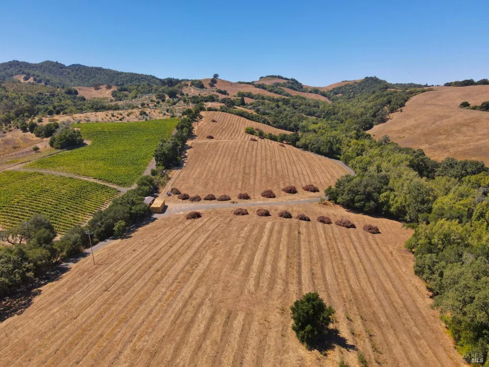 Partrick Road Napa, CA 94558