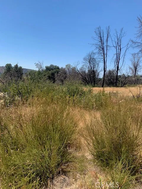 16074 9th Clearlake, CA 95422