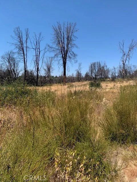 16074 9th Clearlake, CA 95422