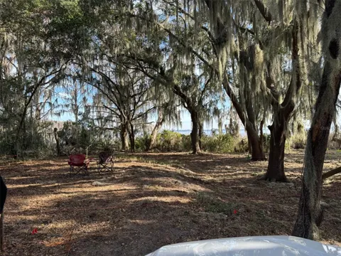 OCKLAWAHA DRIVE
