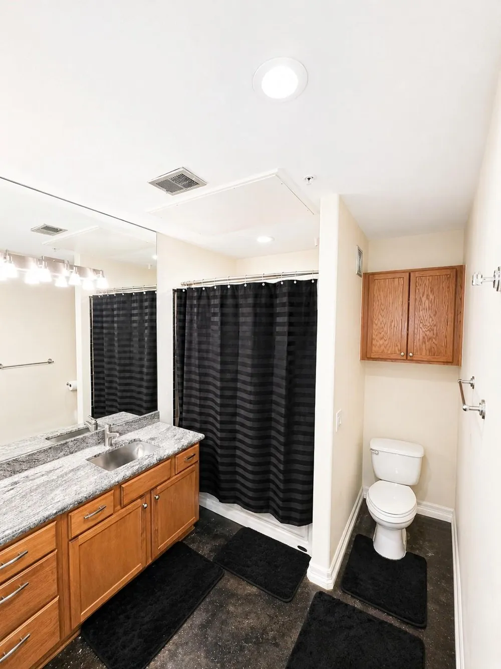1602 Elgin Street #5 Houston, TX 77004