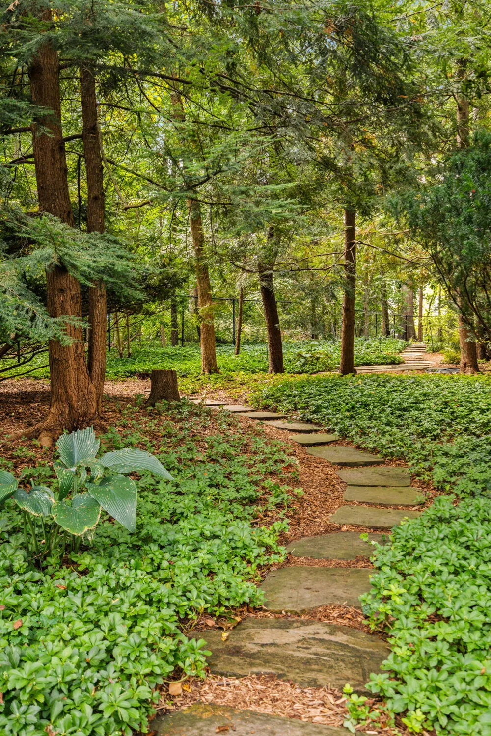 1030 Spruce Drive Ann Arbor, MI 48104