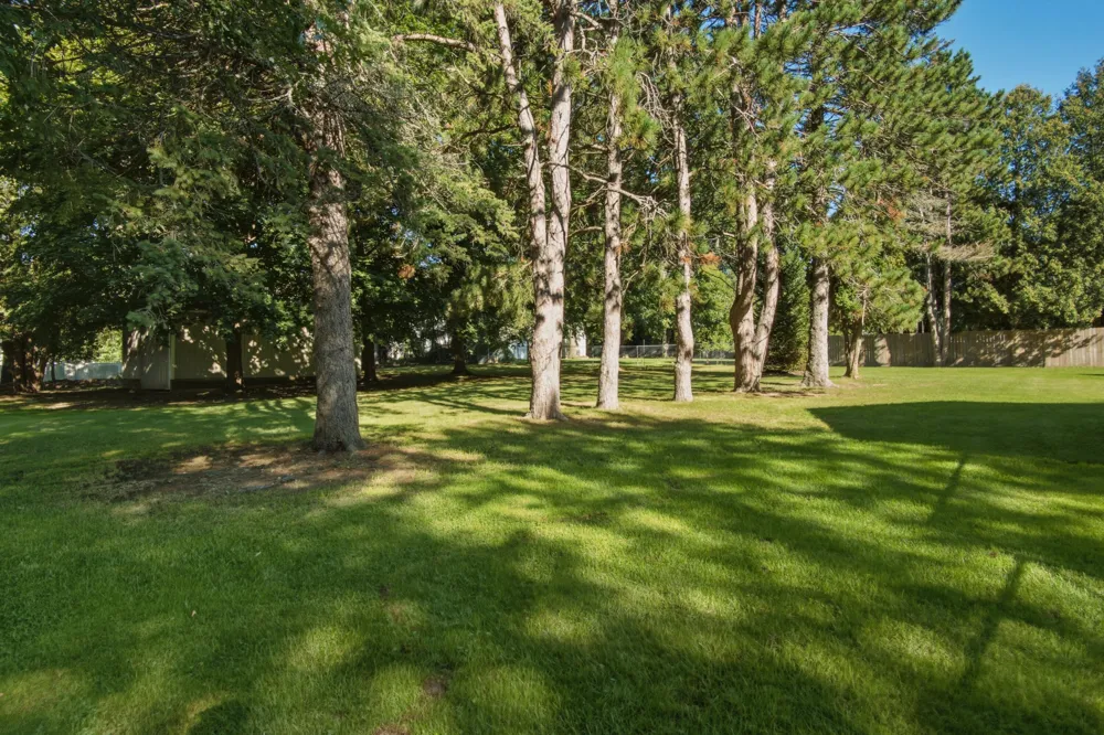 8182 S Youngman Road Greenville, MI 48838