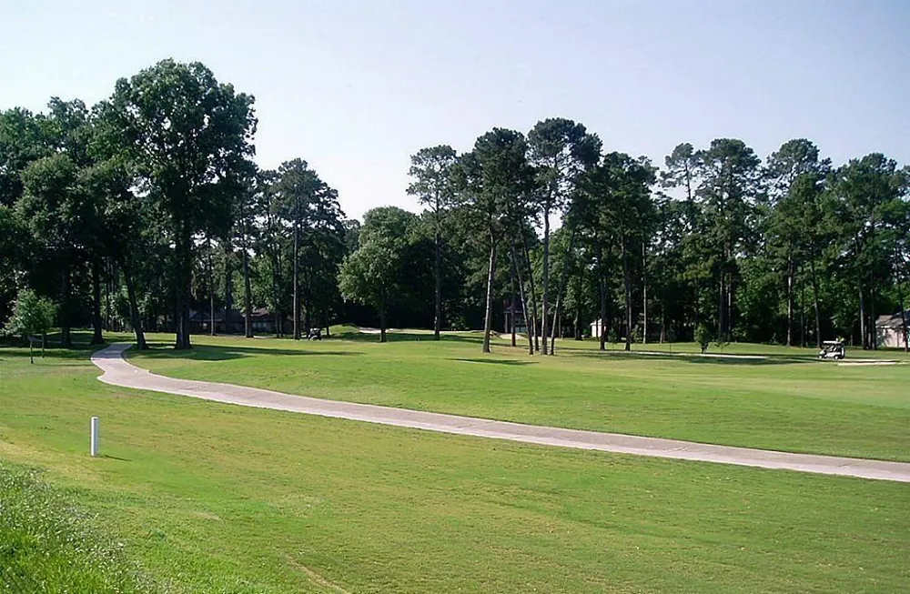 16020 Fountainview Drive #12 Montgomery, TX 77356