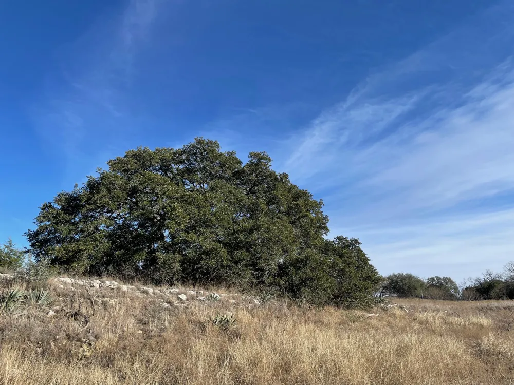 201 W Rolling Oaks Drive Goldthwaite, TX 78644