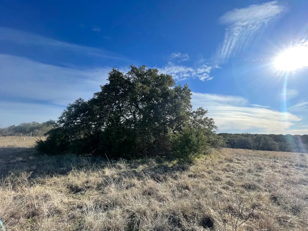 201 W Rolling Oaks Drive Goldthwaite, TX 78644