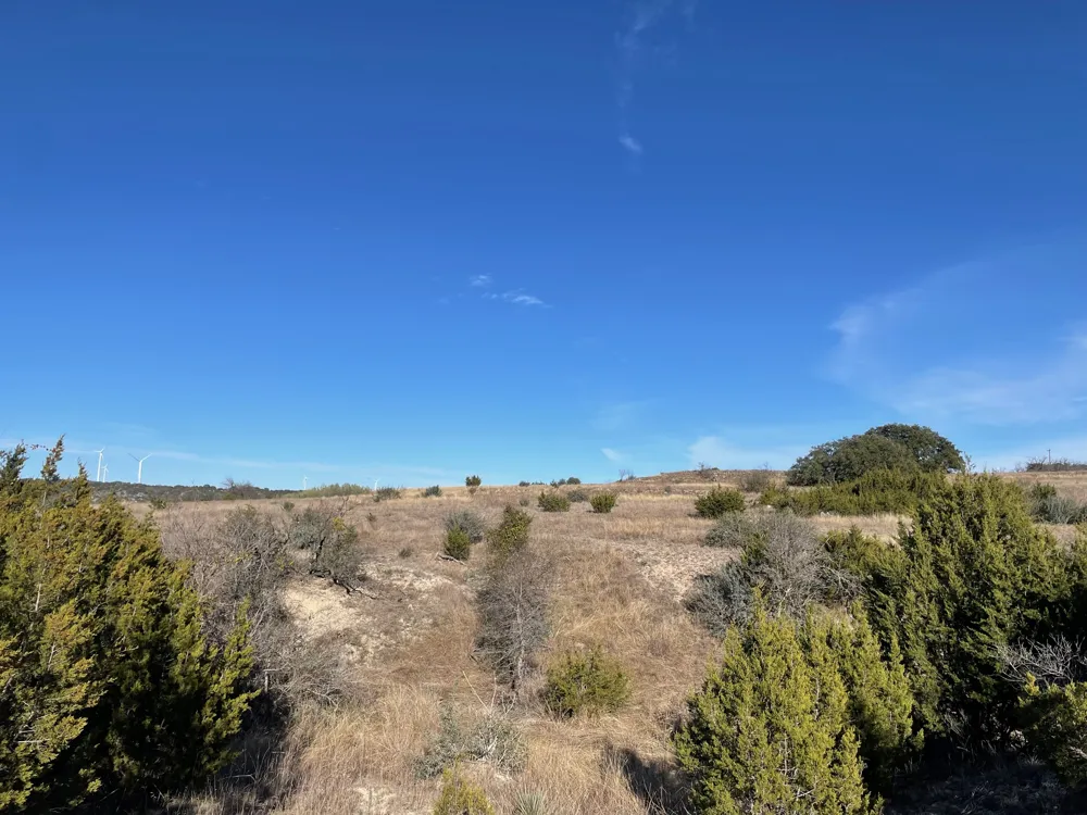 201 W Rolling Oaks Drive Goldthwaite, TX 78644