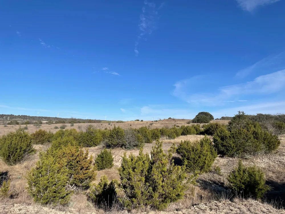 201 W Rolling Oaks Drive Goldthwaite, TX 78644