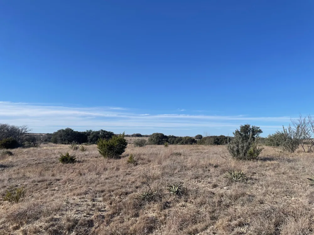201 W Rolling Oaks Drive Goldthwaite, TX 78644
