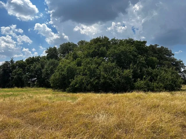 201 W Rolling Oaks Drive Goldthwaite, TX 78644