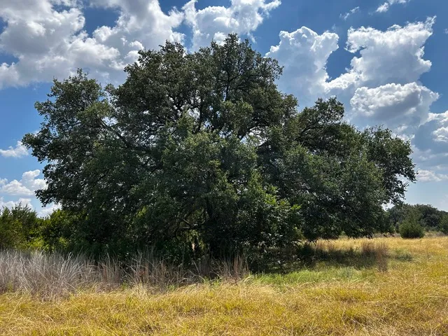 201 W Rolling Oaks Drive Goldthwaite, TX 78644