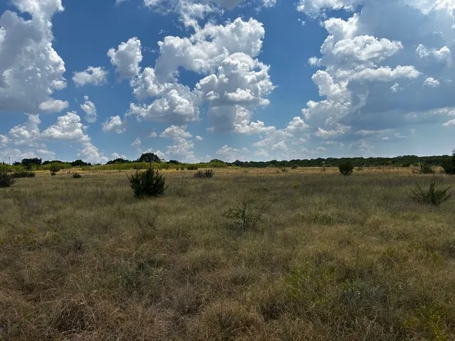 201 W Rolling Oaks Drive Goldthwaite, TX 78644