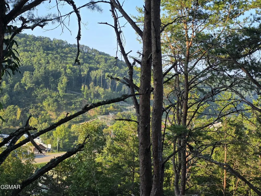 3004 Crestview Court Sevierville, TN 37862