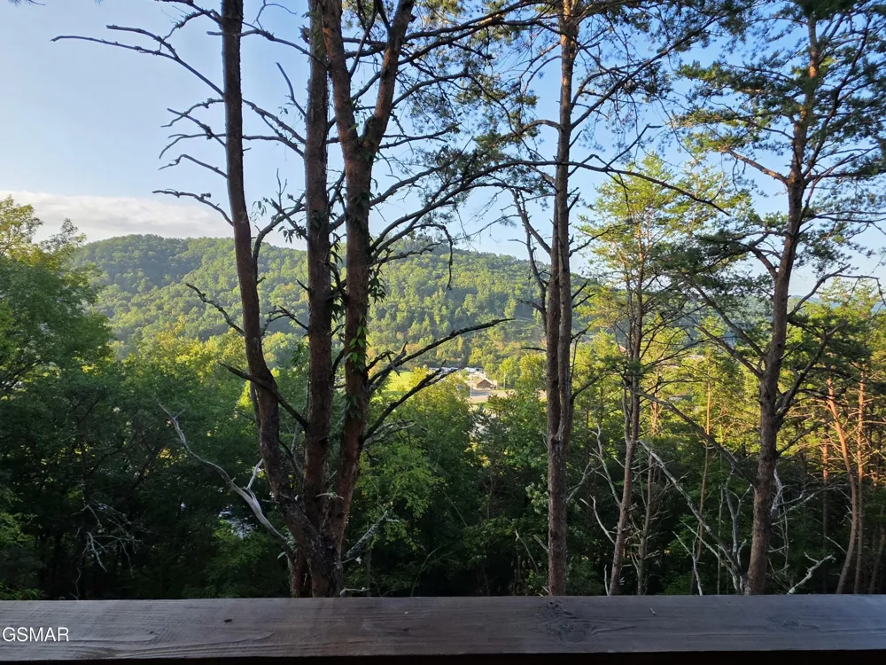3004 Crestview Court Sevierville, TN 37862