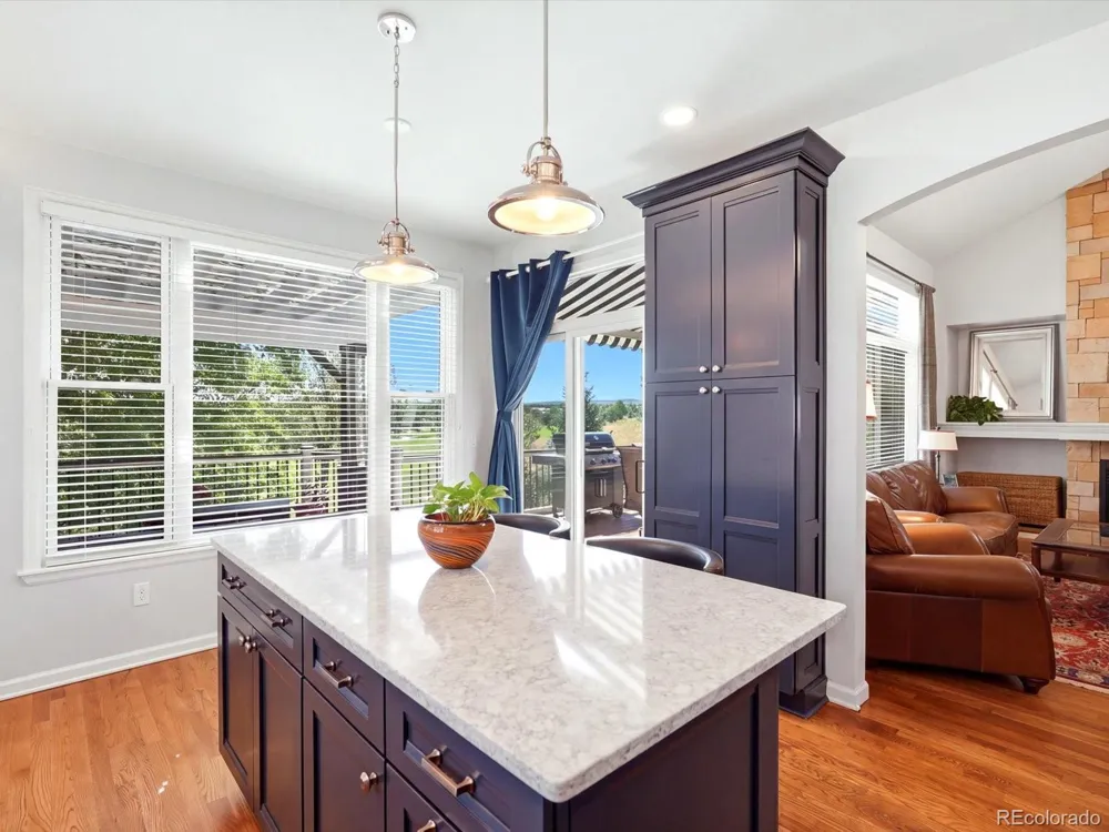 8664 Canongate Lane Highlands Ranch, CO 80130