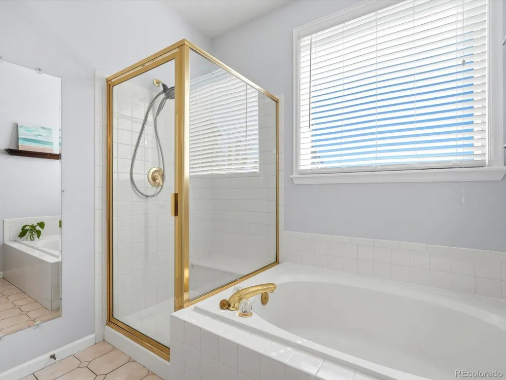 8664 Canongate Lane Highlands Ranch, CO 80130