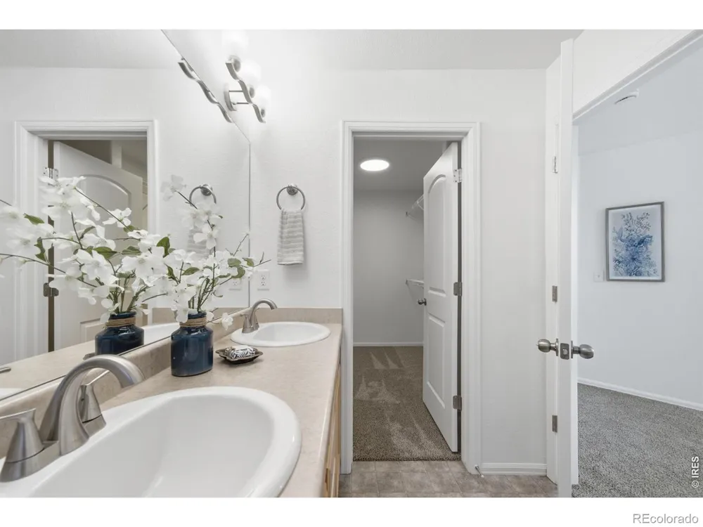 354 Shadowbrook Drive Windsor, CO 80550
