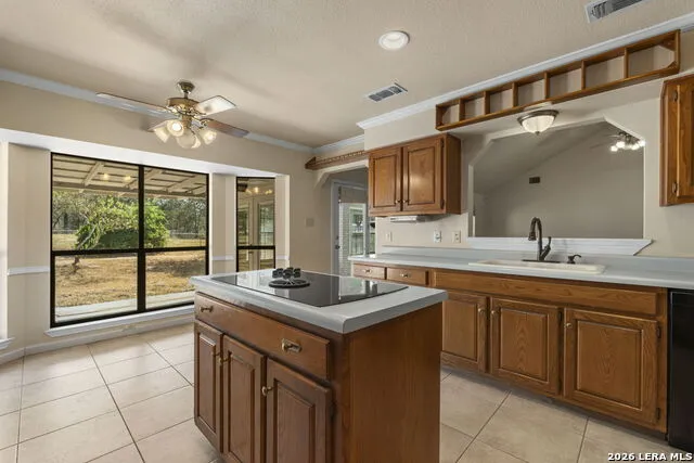360 BEAR RIDGE DR La Vernia, TX 78121