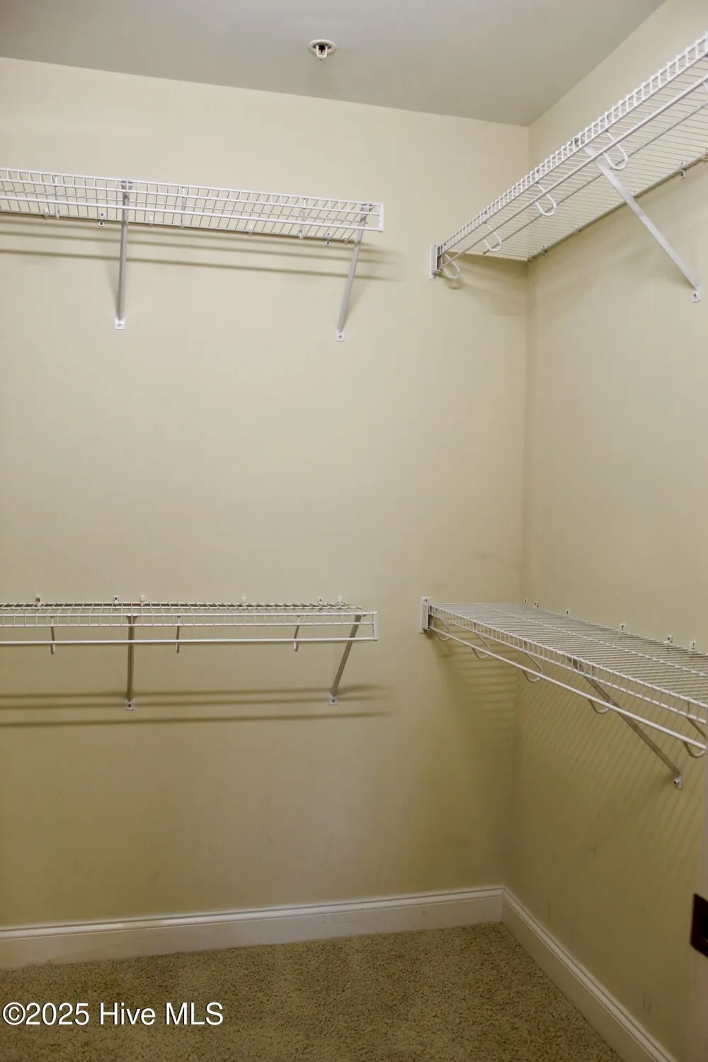 6831 Main Street #225 Wilmington, NC 28405