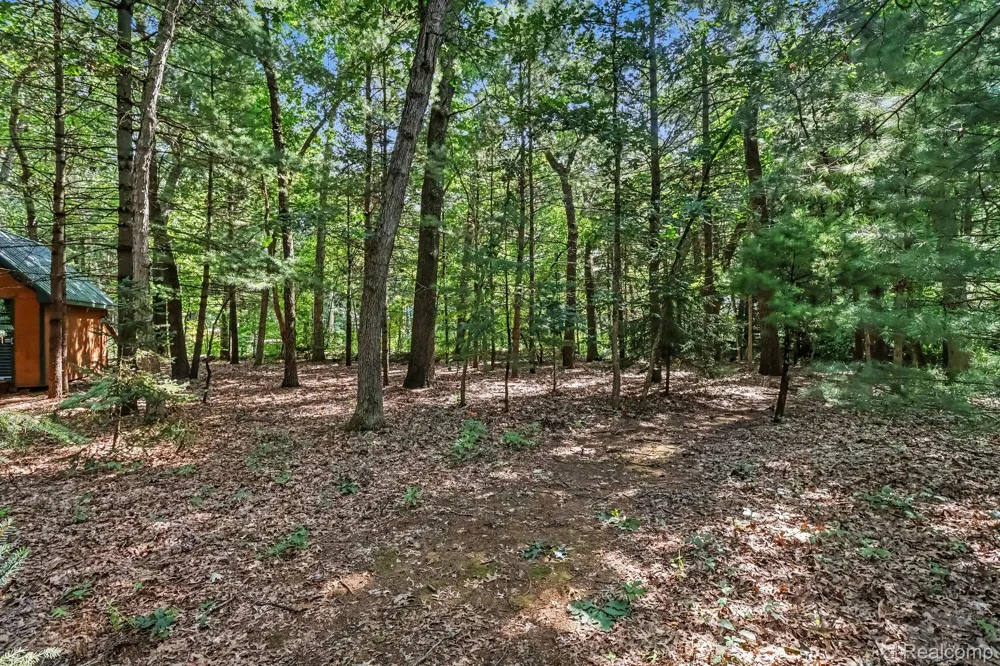 4012 Wintergreen Drive Valley Township, MI 49010