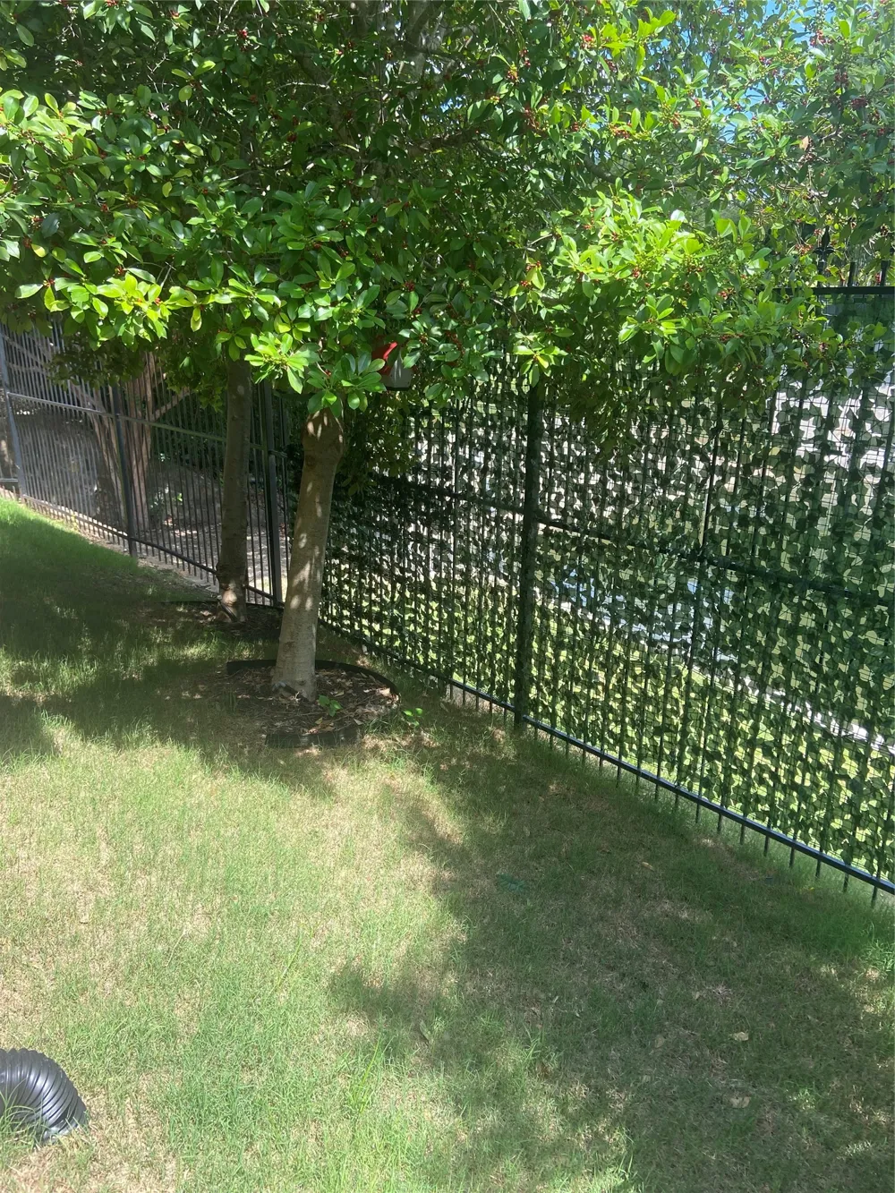 645 E Hill Street Keller, TX 76248