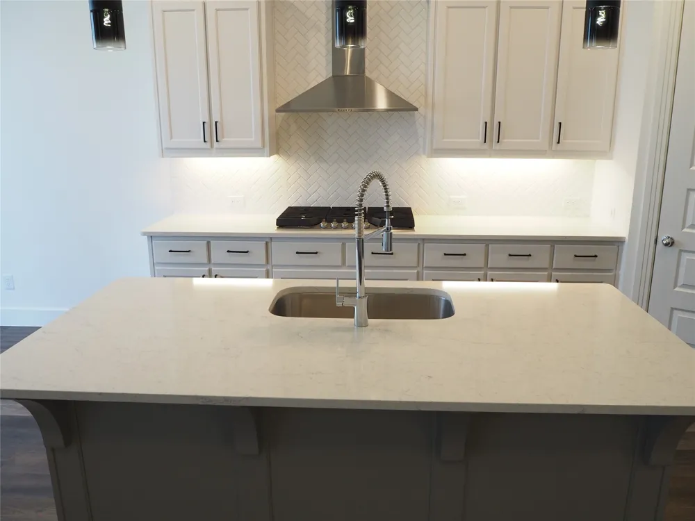 5009 Shadetree Street Little Elm, TX 76227