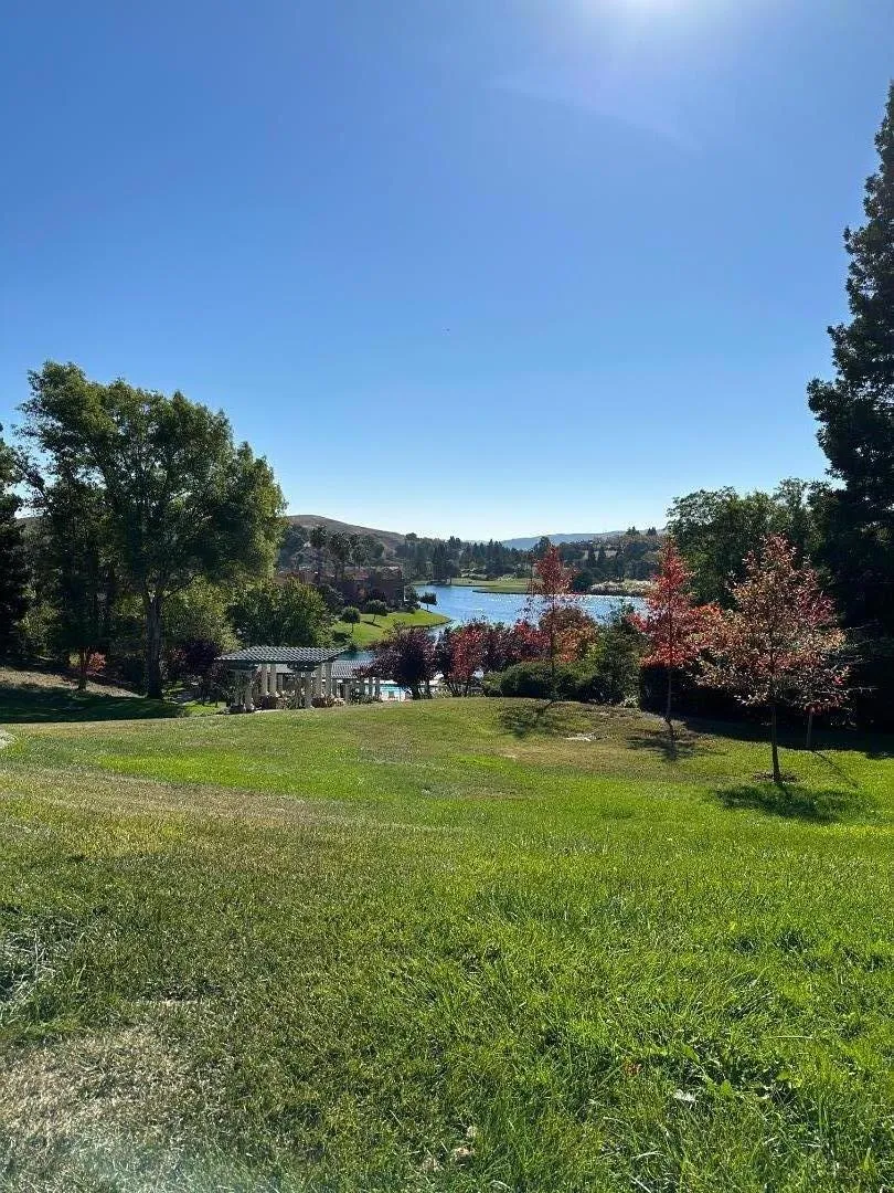 84 Tahoe Court #203 San Ramon, CA 94582