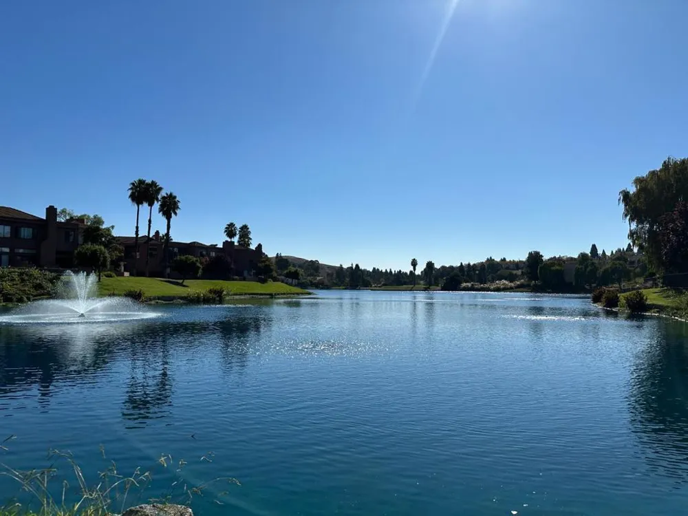 84 Tahoe Court #203 San Ramon, CA 94582