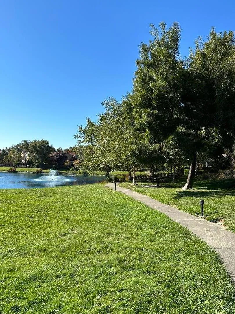84 Tahoe Court #203 San Ramon, CA 94582