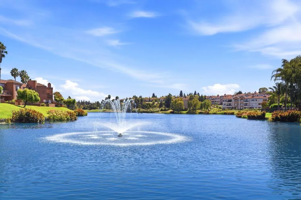 84 Tahoe Court #203 San Ramon, CA 94582
