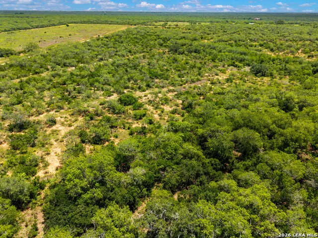 TBD Ralph Coughran Pleasanton, TX 78064