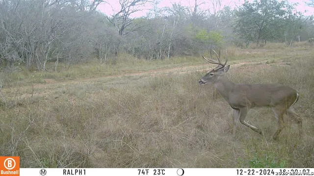 TBD Ralph Coughran Pleasanton, TX 78064